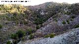 Barranco de Nebln. Desde el Castillo de Nebln