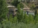 Cortijo de las Palomas. 