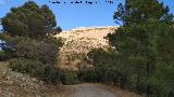Sendero Jabalcuz. 