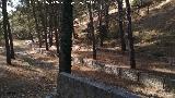 Arroyo de La Cueva