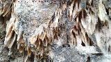 Espeleotema