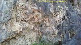 Espeleotemas de la Cantera del Chozo