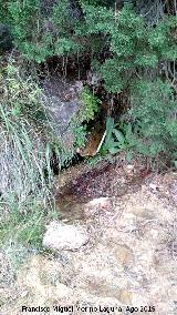 Fuente de la Pista del Molino de la Parra