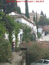 Calle Antequeruela Alta. 