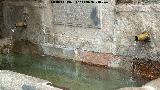 Pilar de San Cecilio. Caos