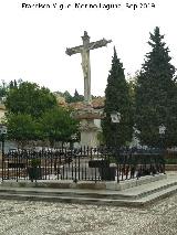 Cristo de los Favores. 