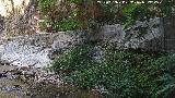 Caz del Molino Martos. 