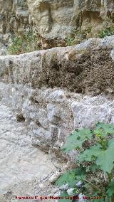 Caz del Molino Martos. 