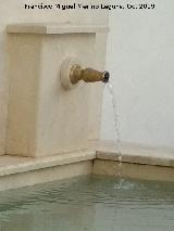Pilar de la Rambla. Cao