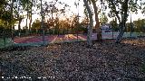 Colonia Francesa de la Cruz. Pista de tenis