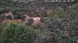Cortijo del Arroyo de la Cueva. 