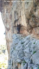 Pinturas rupestres del Poyo de la Cerradura. Abrigo