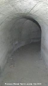 Refugio de la Gineta. 