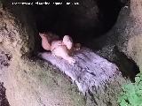 Ermita rupestre Se�or del Valle. Ni�o Jes�s