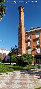 Plaza de las Cig�e�as