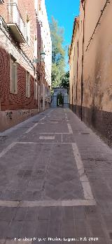 Calle Jard�n Bot�nico