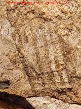 Abrigo del Reticulado