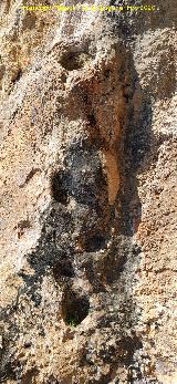 Abrigo de las Cazoletas de las Pe�as de Castro