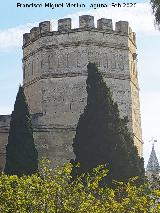 Alc�zar de Jerez. Torre Octogonal