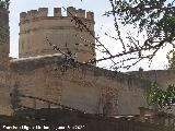 Alc�zar de Jerez. Aljibe