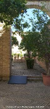 Alc�zar de Jerez. Molino de Aceite. Acceso al molino