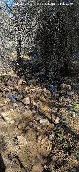 Arroyo del Barranco de la Ca�ada de las Fuentes