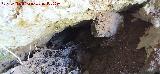 Cueva del Nacimiento del Arroyo del Barranco de la Ca�ada de las Fuentes. 