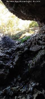 Cueva del Nacimiento del Arroyo del Barranco de la Ca�ada de las Fuentes. 