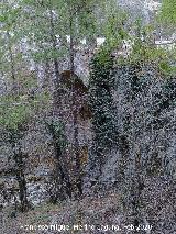 Puente de las Vegetas. 