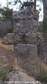 Hito del Monte Navahondona