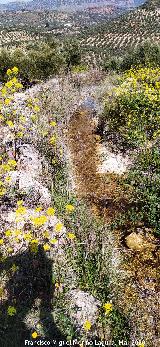 Acequia de la Albardilla