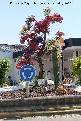 Rotonda de los Bomberos