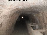 Piscifactora de los Caones. Tnel