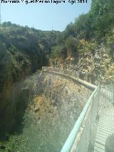 Piscifactora de los Caones. 