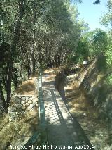 Piscifactora de los Caones. 