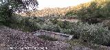 Alberca del Arroyo de la Venta