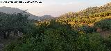 La Venta