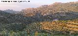 La Venta. 