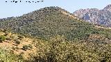 Cerro Madro�ero. Desde el Mirador Cerro del Plomo