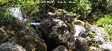 Pantaneta del R�o Aguasmulas. 