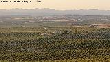 Cortijo de Sancho. Desde Fuente Nueva