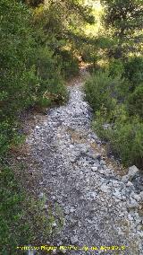 Caada del Sabinar. 