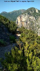 Caada del Sabinar