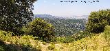 Mirador Tugate de los Cielos Mirador Tugate de los Cielos