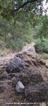 Ca�ada de la Magdalena. 