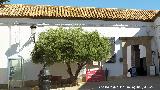 Casa de la Cilla. 