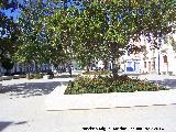 Plaza de la Constitucin. 