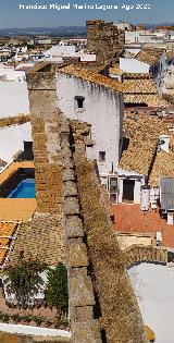 Muralla de Carmona. Desde la Torre del Oro