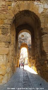 Puerta de Sevilla. 