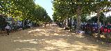 Alameda de Alfonso XIII
